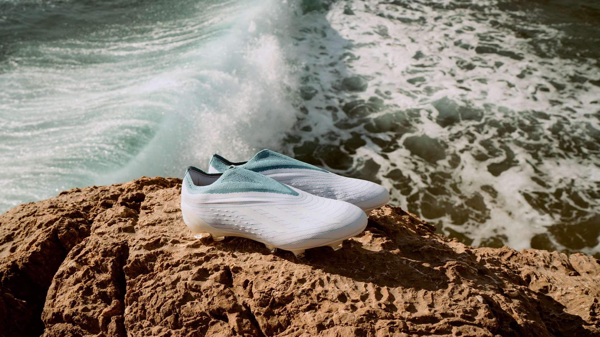 体战斗力的 体战斗力的