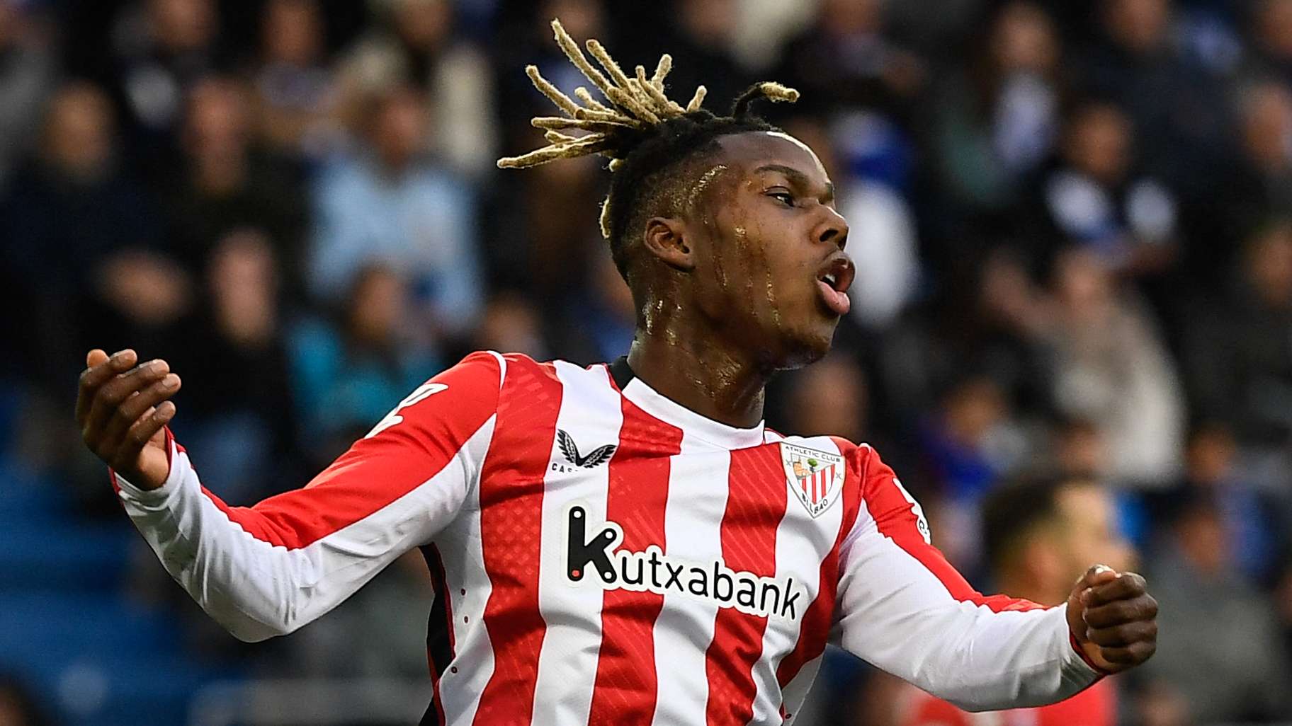 和本土化战 和本土化战