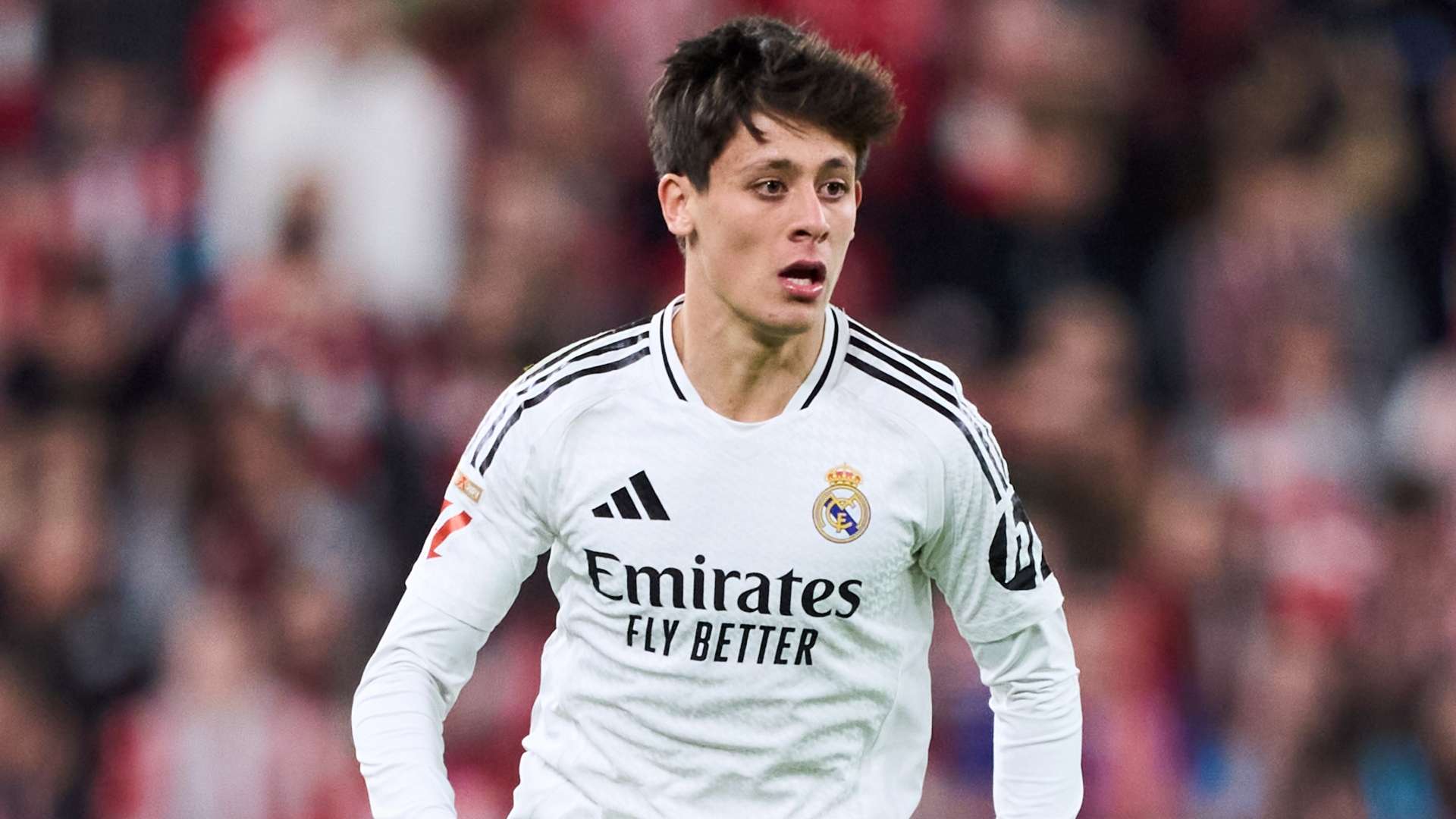 的球迷依然 的球迷依然